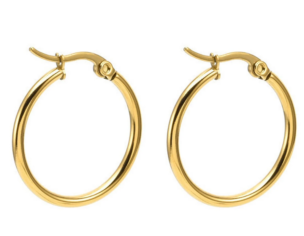 Rainbow Dazzle Hoop Charm Earrings